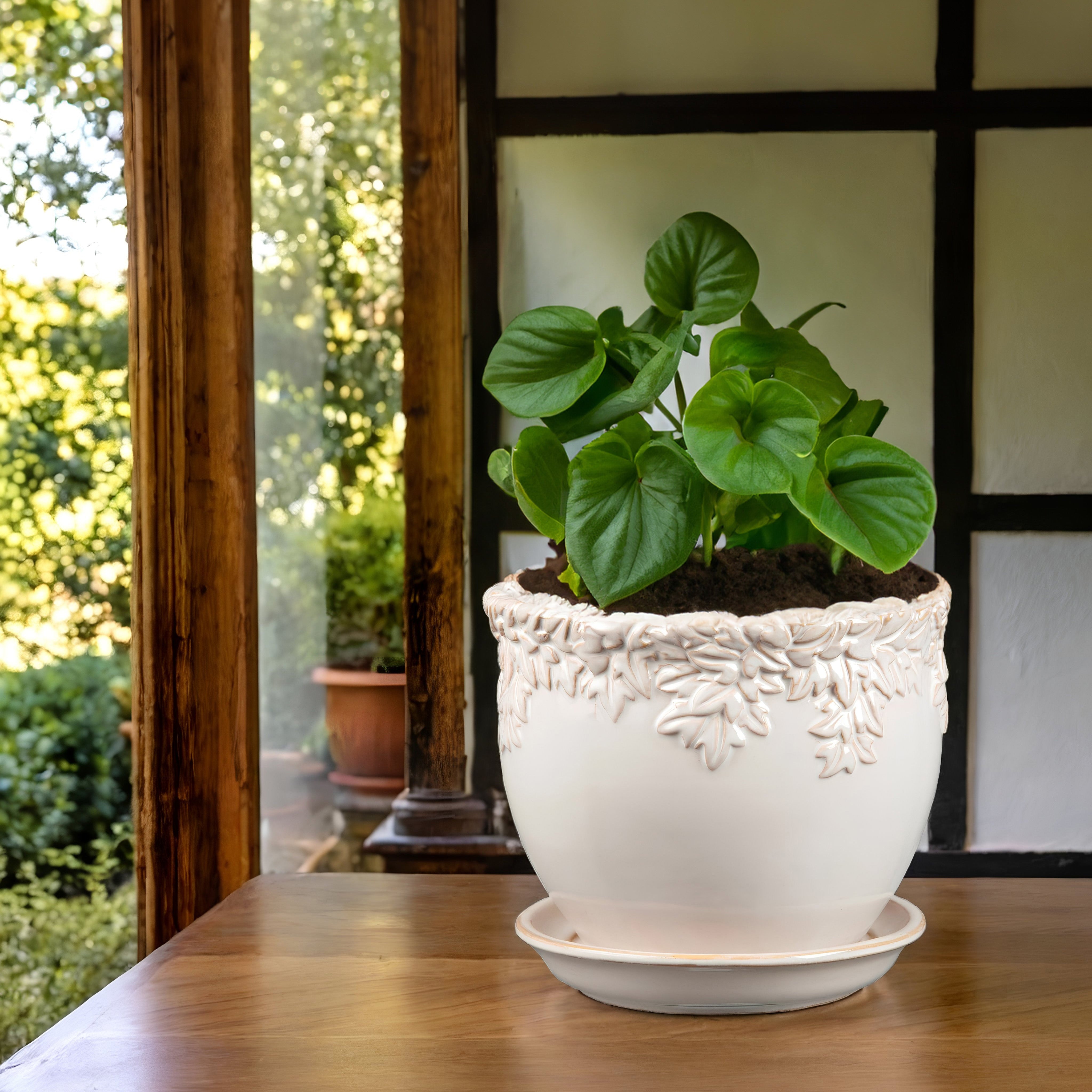 ivy league 5 in. small white ceramic self watering planter Ceramic Planters & Pots With Attached Saucer