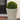 Outdoor Yard, Garden, Lawn Decor & More