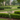 15" x 60" Orchid Trellis, Black
