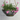 9.75" Font Hanging Pot, Brass/Galvanized
