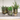 Rustic Verdigris Iron Planters