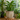 Andora Planter - Natural Cement Finish