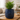 Botanical Planter with Attached Saucer, 8" x 8.5", Dark Denim
