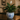 Blue & White Dynasty Planter