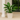 German Vento Pot – Granite