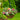 Hanging Basket With Liner