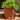 #color_terracotta