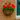 Wall Basket Replacement Coconut Liner - Multiple Sizes